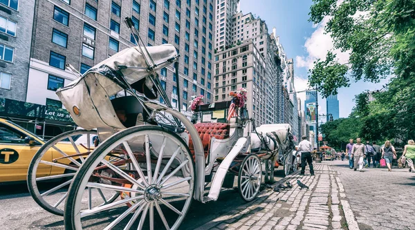 New york city - Juni 2013: Pferdekutsche erwartet Kunden auf 59 — Stockfoto
