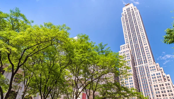 Gebäude der New York City, Fifth Avenue, Manhattan — Stockfoto