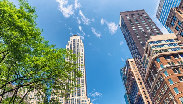 Edificios de la ciudad de Nueva York, Quinta Avenida, Manhattan — Foto de Stock