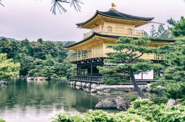 Kinkakuji Tapınağı, Kyoto Japonya altın köşk
