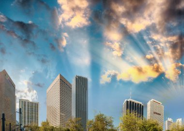 Miami Downtown binalardan batımında Bayfront Park