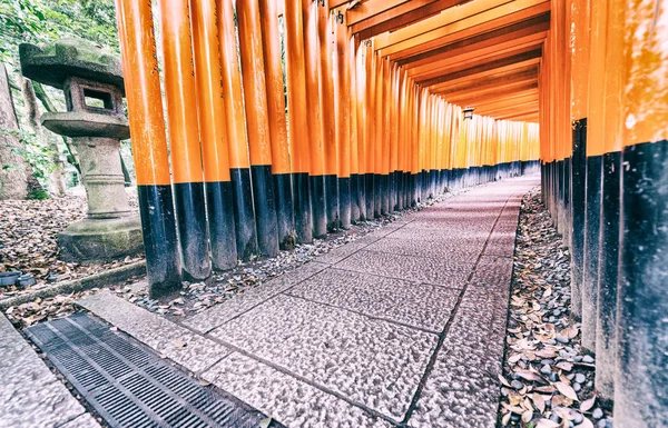 Červená tori s bránou na fushimi inari shrine v Kjótu, Japonsko — Stock fotografie