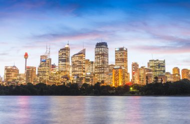 Sydney skyline at night clipart