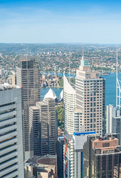 Güneşli bir günde Sydney binalar