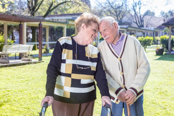 Yaşlı çift birlikte bahçede gülümseyen mutlu — Stok fotoğraf