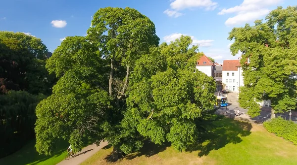 Şehir Parkı, Almanya Celle manzarası havadan görünümü — Stok fotoğraf
