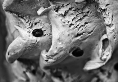 dondurma Dükkanı Floransa