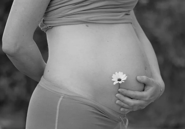 35: e veckan gravid kvinna — Stockfoto