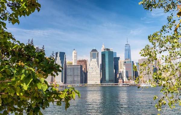 Skyline del centro di Manhattan dal Brooklyn Bridge Park — Foto Stock