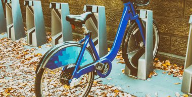 Mavi bisiklet üzerinde bir şehir parkı floiage sezonunda Park.