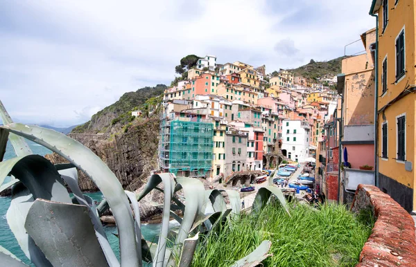 Riomaggiore, Cinque Terre. Hermosas casas coloridas — Foto de Stock