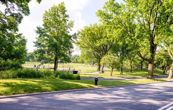 Tourists enjoy Central Park — Stock Photo, Image