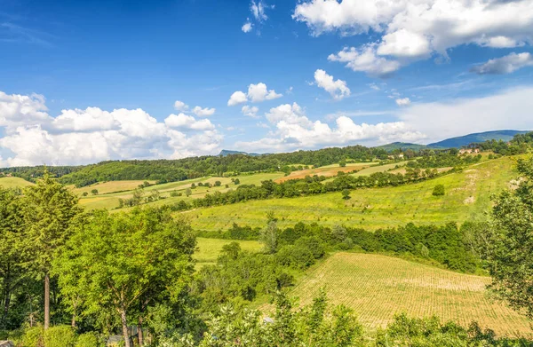 Hermoso paisaje y colinas en Toscana, Italia —  Fotos de Stock