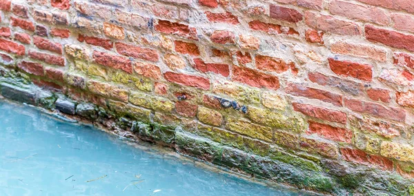 River wall and canal colour in Venice — Stock Photo, Image