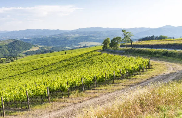 Hermoso paisaje y colinas en Toscana, Italia — Foto de Stock