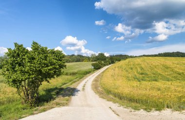 Güzel manzara ve tepeler Toskana, İtalya