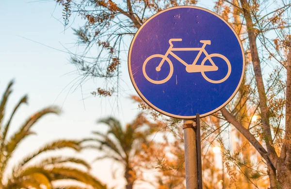 Велосипедная дорожка на закате с пальмами — стоковое фото