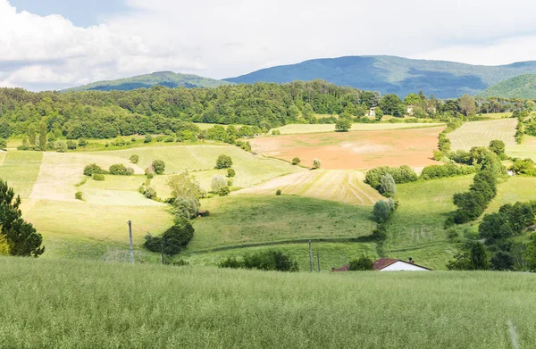Hermoso paisaje y colinas en Toscana, Italia —  Fotos de Stock