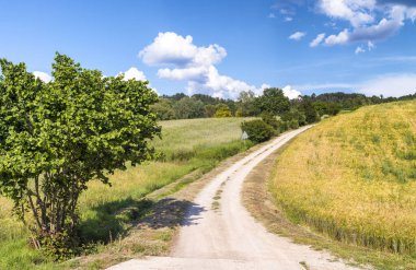 Güzel manzara ve tepeler Toskana, İtalya