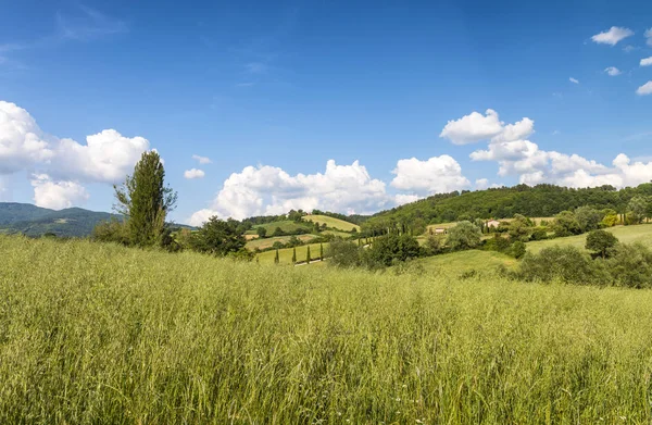 Vackra landskap och kullarna i Toscana, Italien — Stockfoto