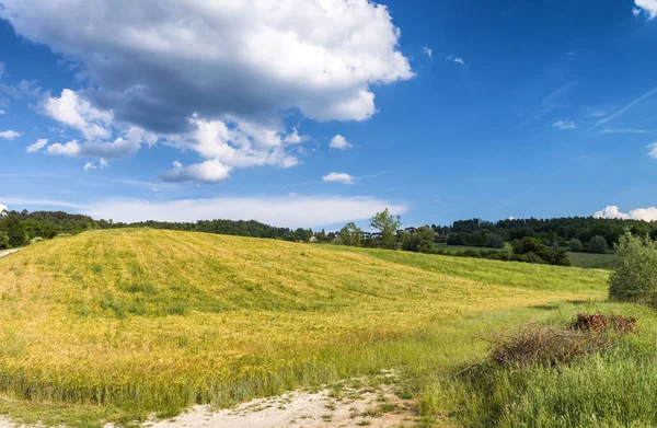 Toscana, Italia. Paisaje rural al atardecer. Prados en el campo, género — Foto de Stock