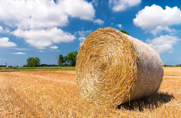 A nyári szezonban a Szalmabála — Stock Fotó