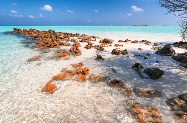 Vacker strand på Maldiverna — Stockfoto