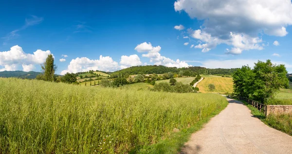Våren landsbygden i Toscana, panoramautsikt — Stockfoto