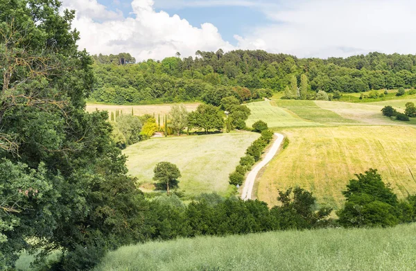 Güzel manzara ve tepeler Toskana, İtalya