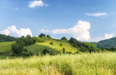 Güzel manzara ve tepeler Toskana, İtalya