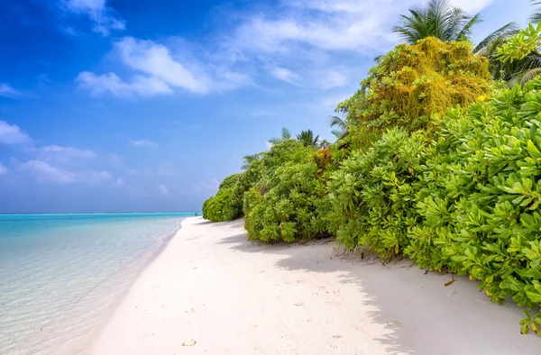 Piękna plaża Maldives — Zdjęcie stockowe