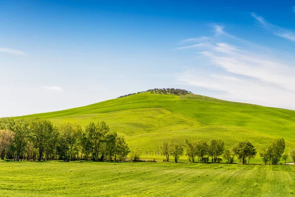 Alberi in Toscana. Vista sulla campagna in primavera — Foto Stock