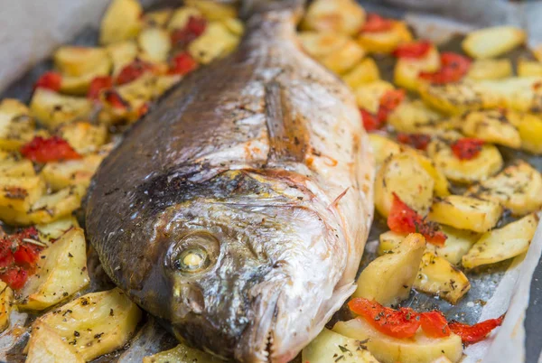 Dorate pescado con patatas y tomates —  Fotos de Stock