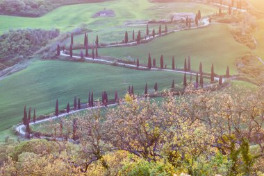Rüzgarlı road Tuscany kırsal, İtalya