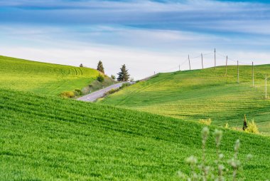 Rüzgarlı road Tuscany kırsal, İtalya