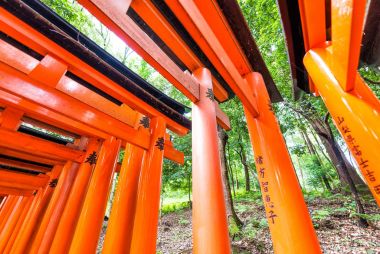 Kyoto, Japonya - 30 Mayıs 2016: Fushimi Inari tapınak bir importan olan