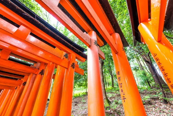 KYOTO, JAPÃO - MAIO 30, 2016: Santuário Fushimi Inari é um importan — Fotografia de Stock