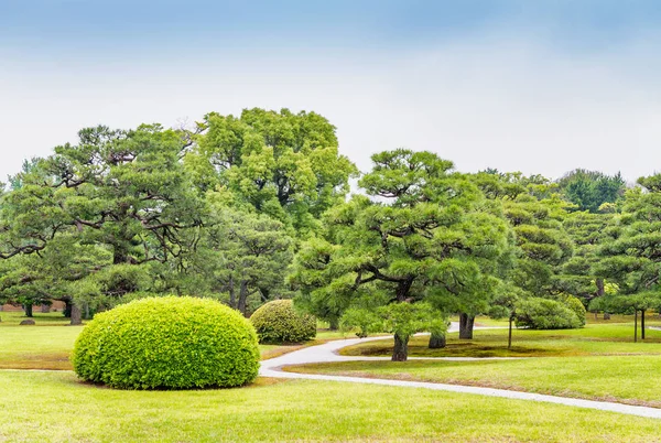 Zamek Nijo ogrody, Kyoto - Japonia — Zdjęcie stockowe