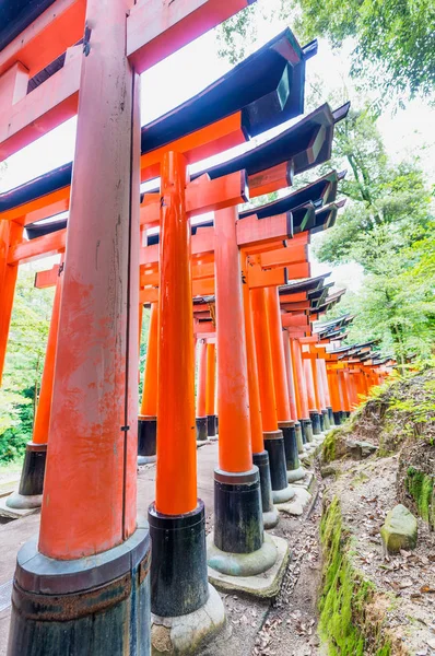 伏見稲荷の朱色の鳥居門、京都 - 日本 — ストック写真