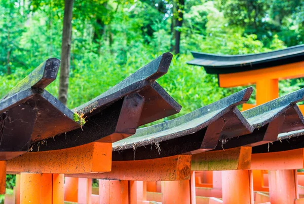 Puertas torii bermellón Fushimi Inari, Kyoto - Japón —  Fotos de Stock