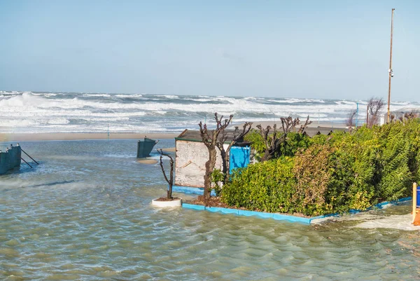 Tempestade marinha na temporada de inverno — Fotografia de Stock