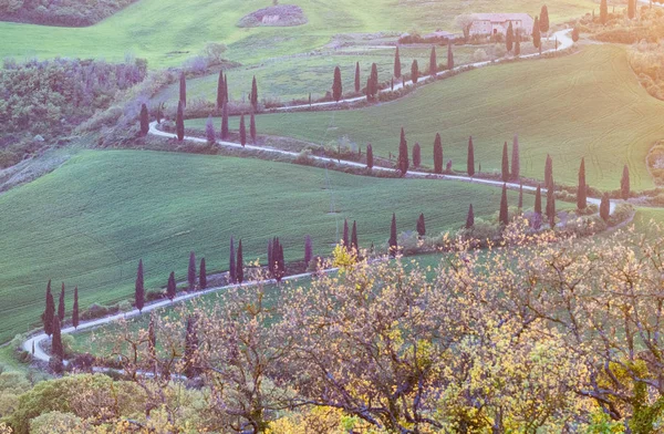 Strada ventosa nella campagna Toscana, Italia — Foto Stock
