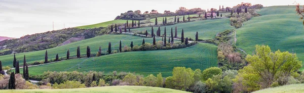 Winderige weg op een heuvel Tuscany met cipressen — Stockfoto
