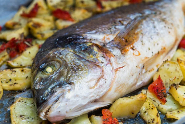 Dorate pescado con patatas y tomates —  Fotos de Stock