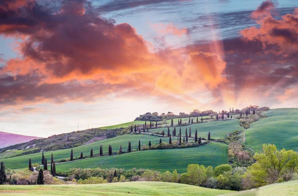 Panoramisch zonsondergang van van beroemde heuvel cipressen in Toscane, Ital — Stockfoto