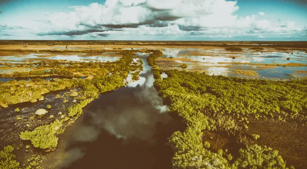 Vista aérea de Everglades Swamps, Florida — Fotografia de Stock