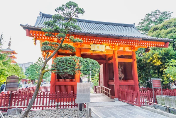 Santuario Sensoji al crepuscolo, Tokyo — Foto Stock
