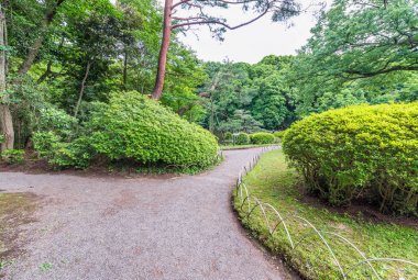Tokyo, Japonya'da Meiji Tapınağı park