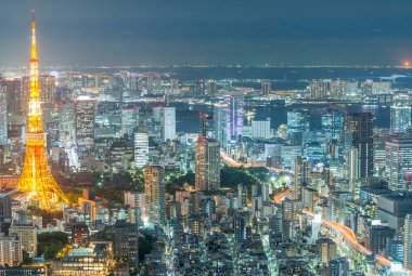 Tokyo - 20 Mayıs 2016: Tokyo hava gece manzarası Asakusa. T