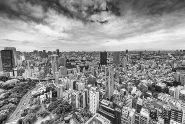 Tokyo - 20 Mayıs 2016: Tokyo Tokyo Kulesi manzarası. Tokyo attr